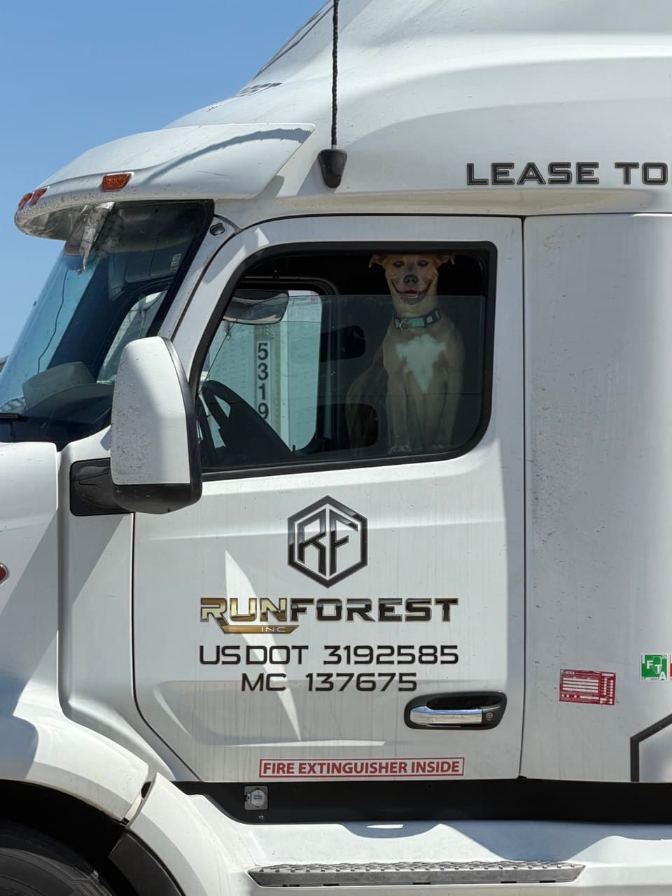 A driver's dog sitting in the cab window of a RUNFOREST truck